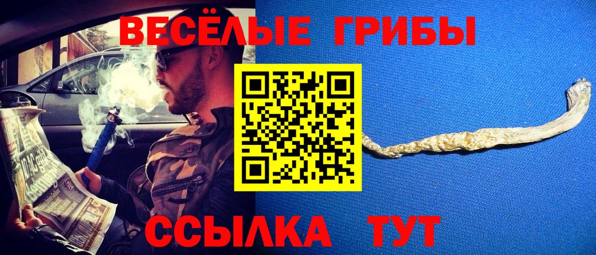 Псилоцибиновые грибы Psilocybine cubensis  Вход с VPN  Сатка 